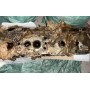 Головка блока цилиндров ЯМЗ 238 ГБЦ на КрАЗ 260 голая новая оригинал 2381003013 238-1003013 купить на разборке в Киеве