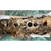 Головка блока цилиндров ЯМЗ 238 ГБЦ на КрАЗ 255, 256, 257 голая старого образца новая оригинал 2381003013 238-1003013 купить на разборке в Киеве