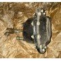 Камера тормозная передняя Зил 130 оригинал новая 150-3519010 150В-3519010 купить на разборке в Киеве Камера тормозная передняя Зил 130 оригинал новая 150-3519010 150В-3519010 купить на разборке в Киеве